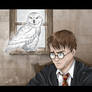 Hedwig's Memory