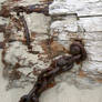 Wood and Rusty Chain