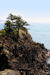 Coastal Cliff