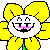 Sexy flower