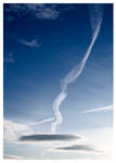 Fly Blue by Marba