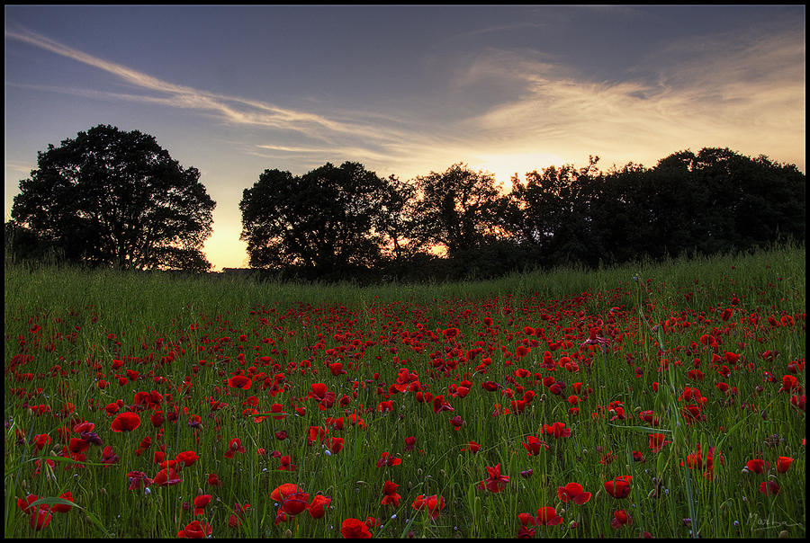 Poulasson sunset