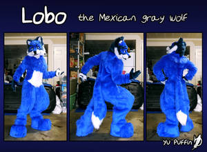 Lobo Full Fursuit