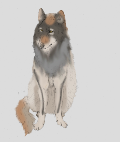 Realistic Wolf Colored