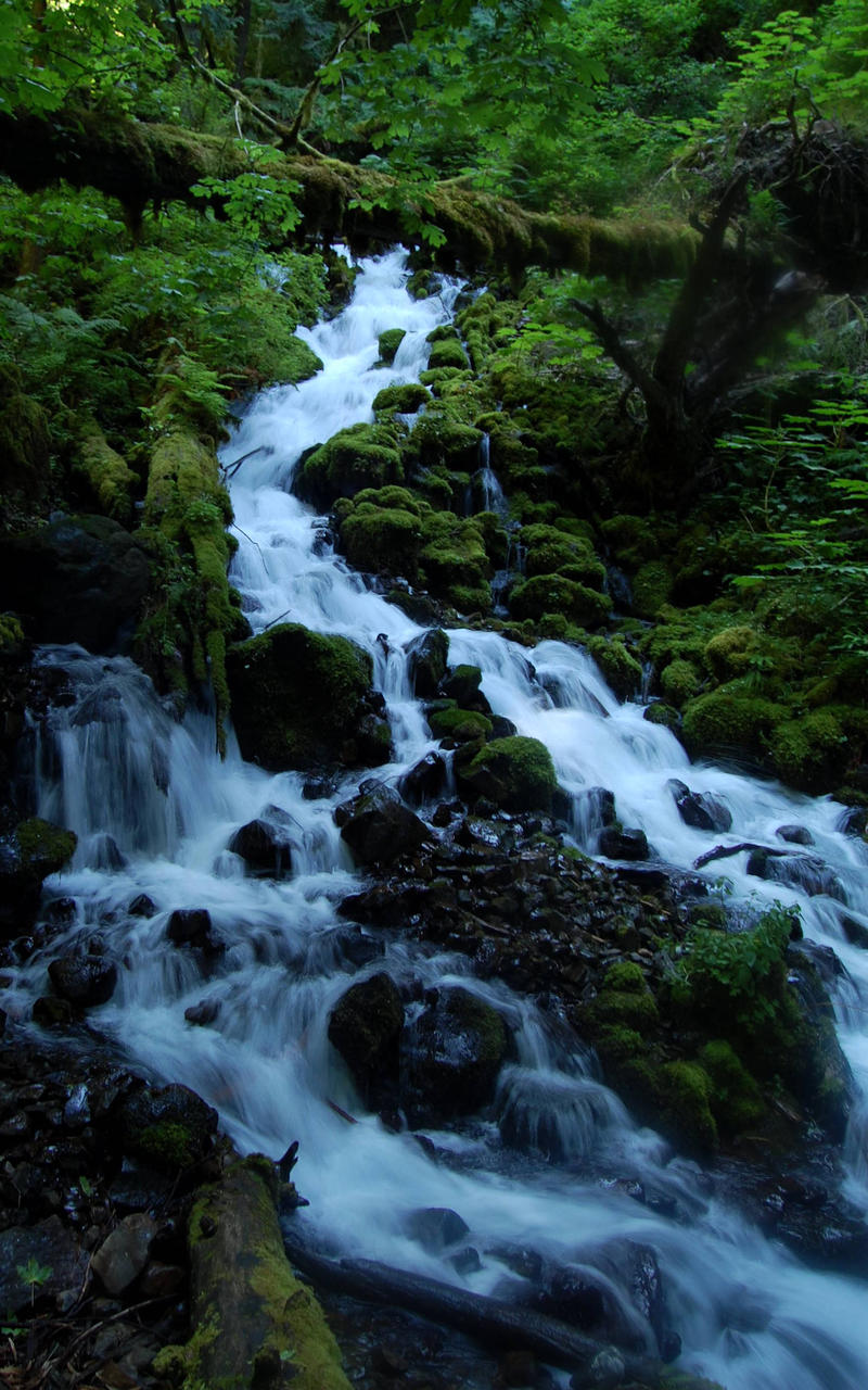 Wahkeena Springs, Oregon