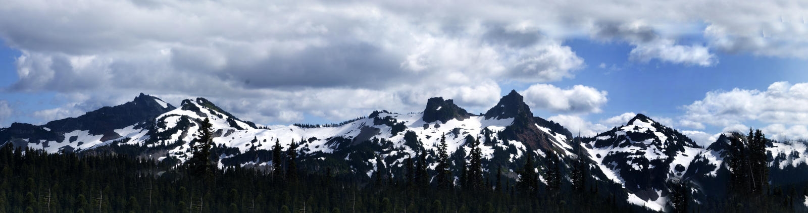 Mt. Rainier Panorama