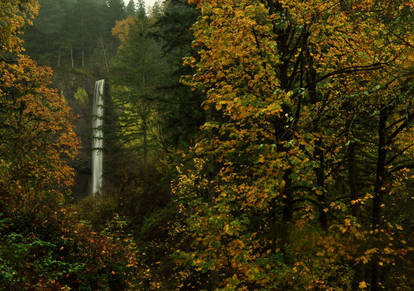 Latourell Falls, Oregon - Autumn