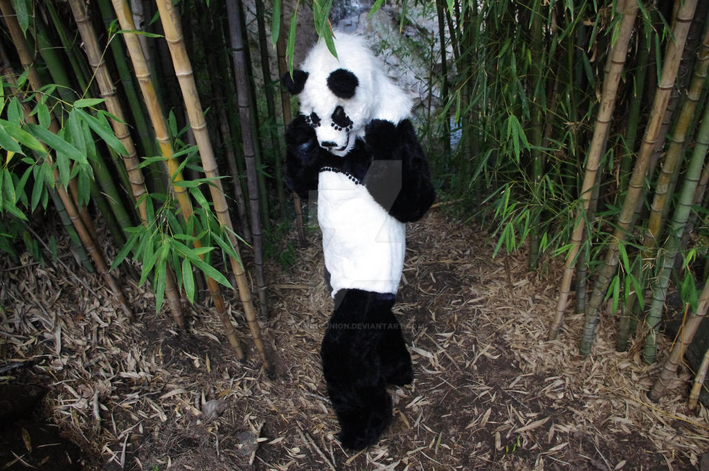 Fragile Rapping Panda Suit Panda Costume Suit by StringUnion on DeviantArt