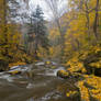 Autumn Rapids II