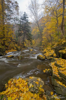 Autumn Rapids II