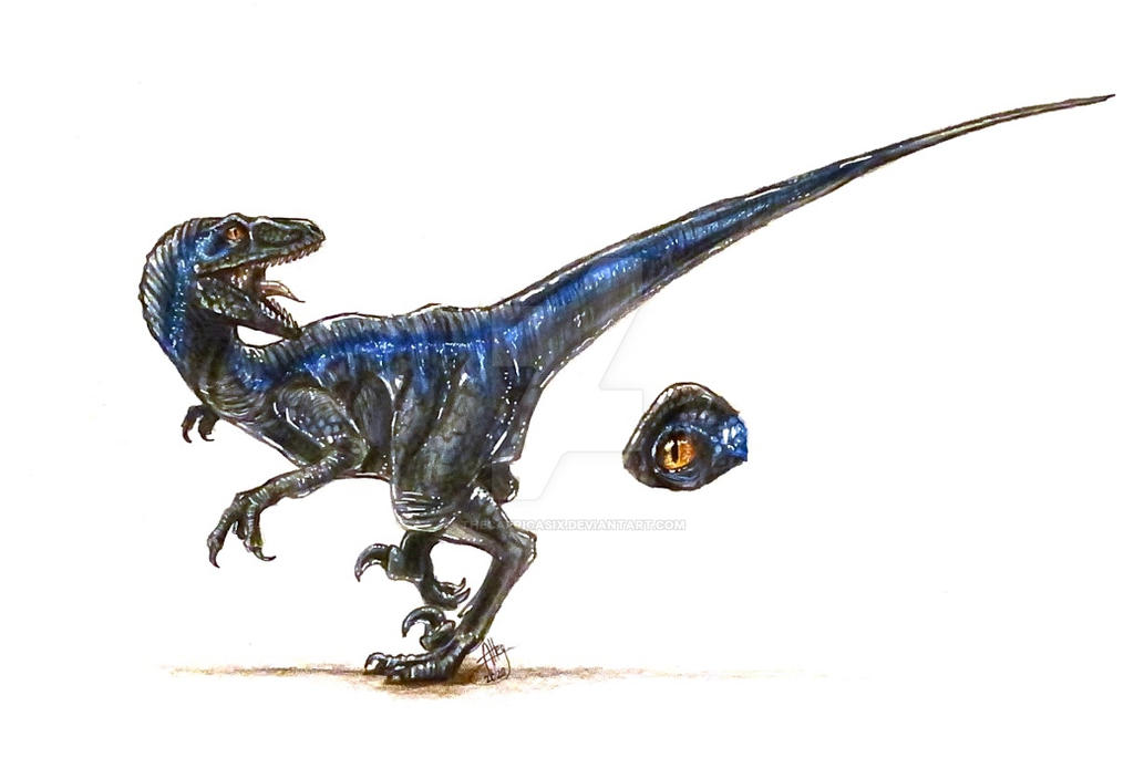Velociraptor (Blue) by TheCapricaSix on DeviantArt