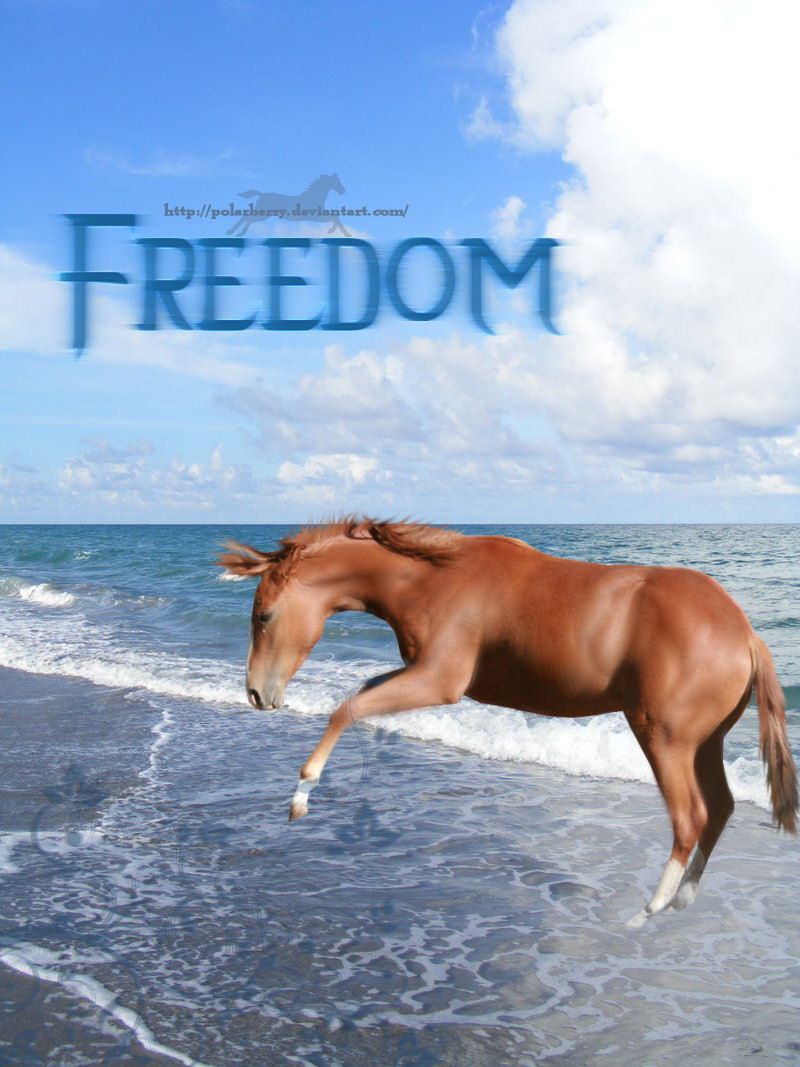 Freedom