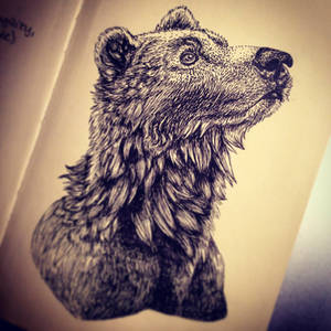 Inked Bear