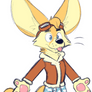 random fennec fox guy