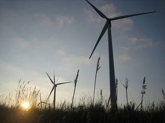 Wind Turbines at Sunset