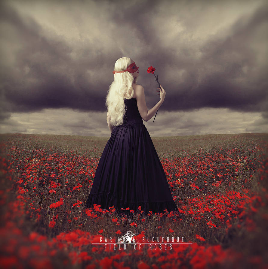 Field Of Roses by KarinaAlbuquerque