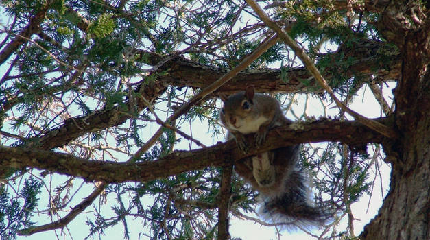 You lookin at my nuts