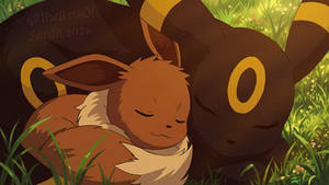 Eevee And Umbreon Snuggles