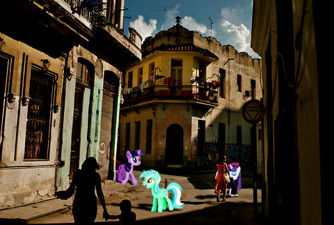 Ponies in Havana