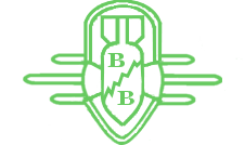 Bunker Busters emblem