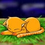 Sleeping Firepaw