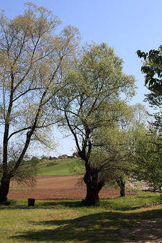 Baraceve spilje 2011 001