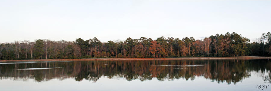 Relax at the Lake