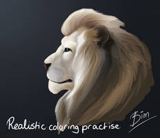 Realistic coloring practise