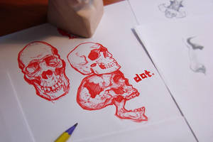 Skulls study 0002