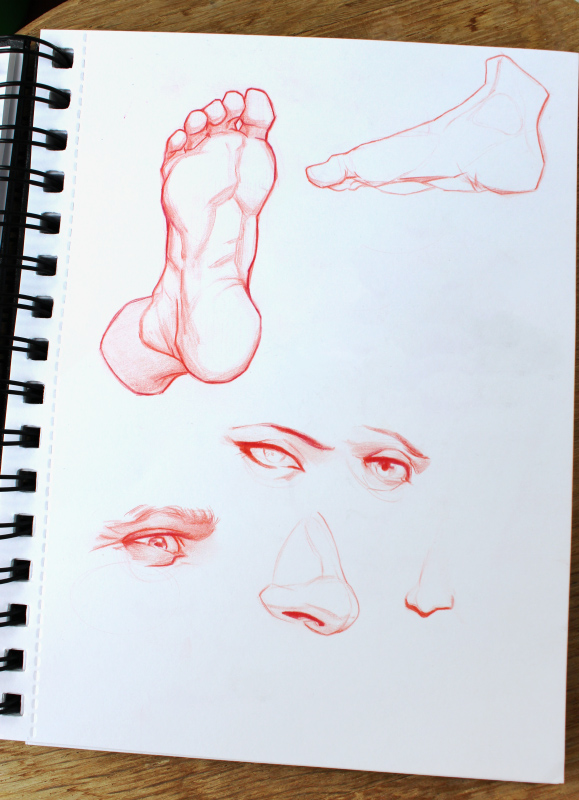 feet noses and eyes