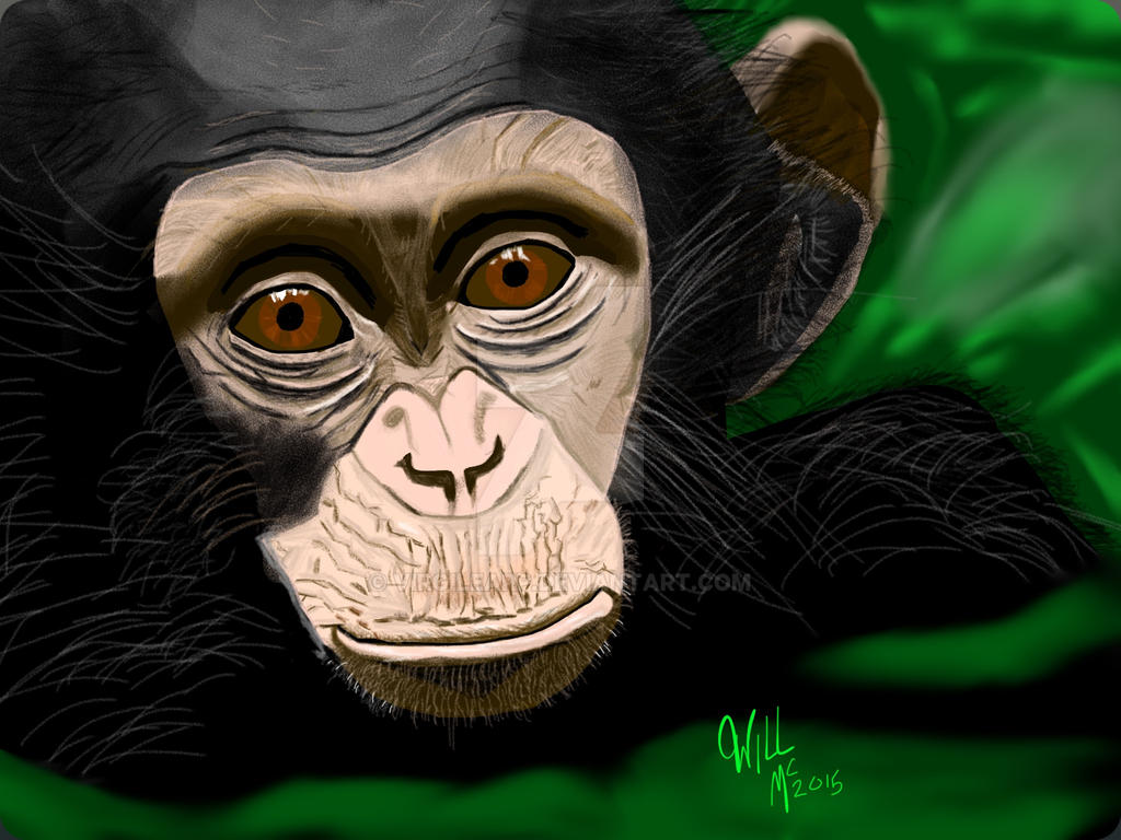 Monkeys Cartoon Deviantart Monkey by Virgilearp on DeviantArt