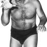 Fritz Von Erich