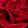 In love 2