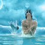 Aquatic Beauty