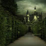 Enchanted Wallpaper