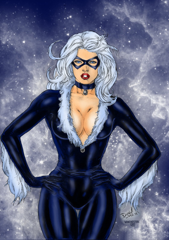 Black Cat by David Lima