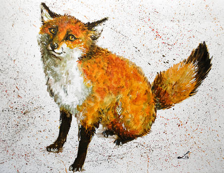 Seated fox
