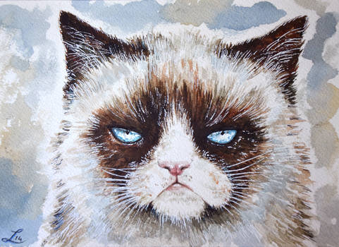 Grumpy cat watercolor