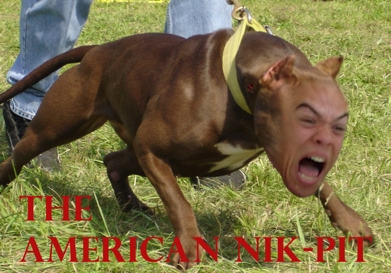 The American Nik Pit