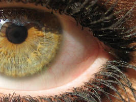 Just me eye