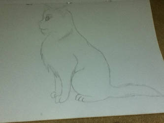 Kitty! (Unfinished)