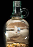 Burgandy Glass by Len-Corcino