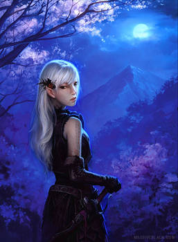 Elven Girl by Moonlight