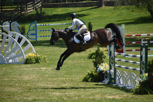 Jumper Landing