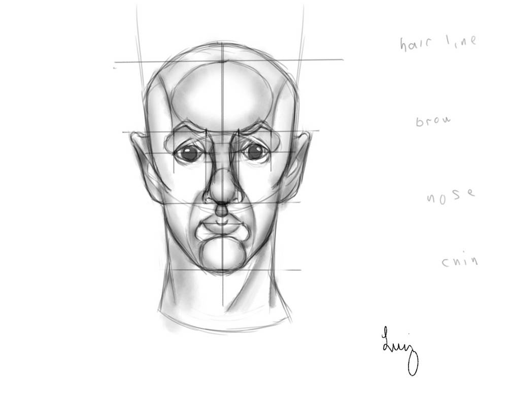 Reilly Method | human head video tutorial by LuhellscytheArt on DeviantArt