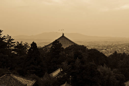 The Silence in Nara