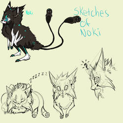 Sketches of Noki