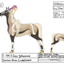 Breeding| Stallion for BrandonLeffers