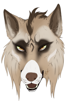 Metnadr|Headshot| For Merled