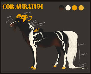 4236 Cor Auratum
